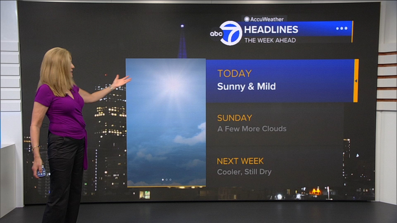 AccuWeather Forecast: Sunny and mild
— ABC 7 Bay Area, Fort Worth Community news