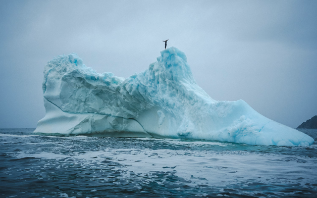 Cliff diver Molly Carson makes history, becomes first woman to dive off iceberg — WESH 2 Orlando, Fort Worth Community news