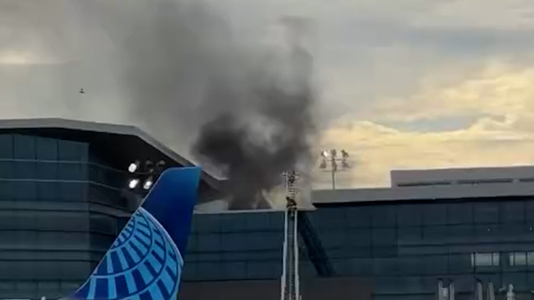 Travelers and staff reacting to a fire in an airport terminal restaurant, showing concern and swift action.