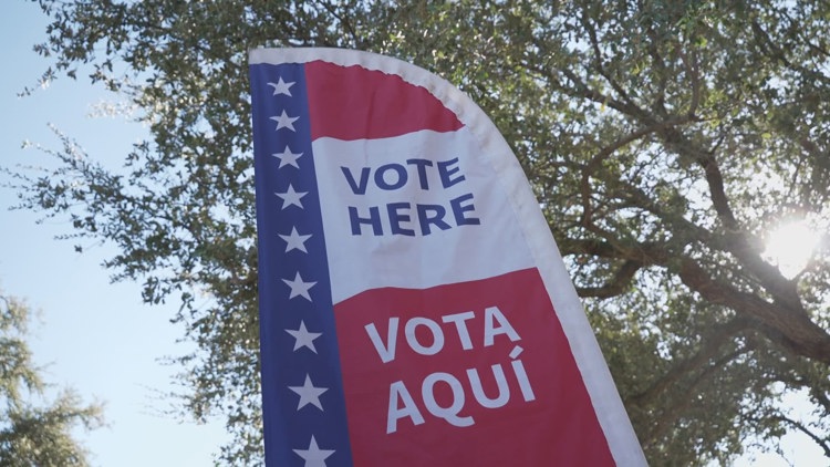 Voters in Fort Worth line up to cast their ballots during early voting.